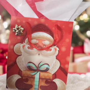 BOLSA DE REGALO MED