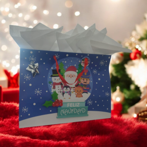 BOLSA DE REGALO