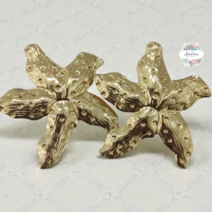 ARETE ESTRELLA TORCITA