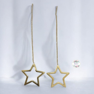 ARETE VIOLADOR ESTRELLA DORADO